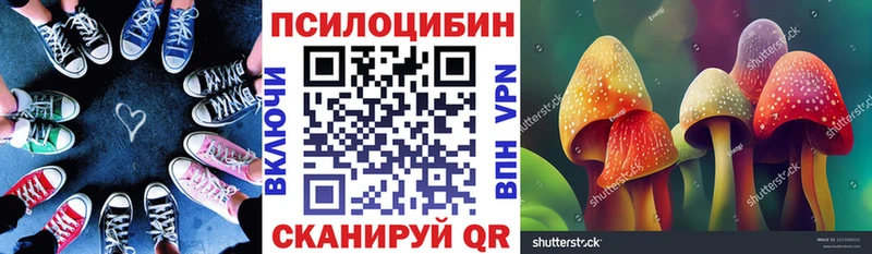 Псилоцибиновые грибы прущие грибы  как найти закладки  Избербаш 