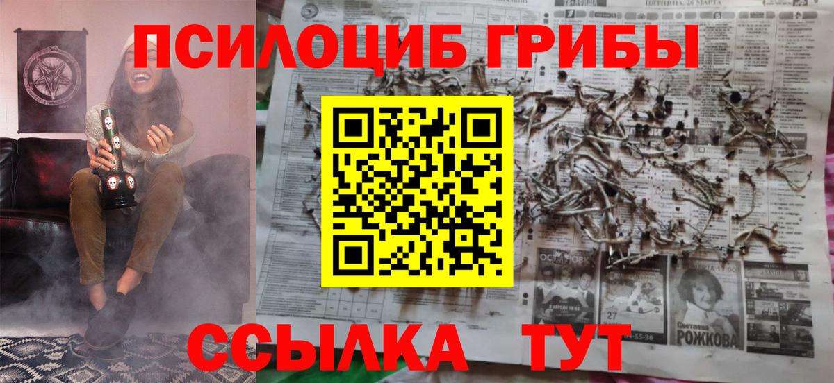 Галлюциногенные грибы прущие грибы  Вход с VPN  Избербаш 